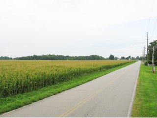 Property photo 1 - 229 +/- Acres Offered in 2 Tracts - Land Auction